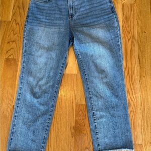 Talbots Modern Ankle Jeans in Blue